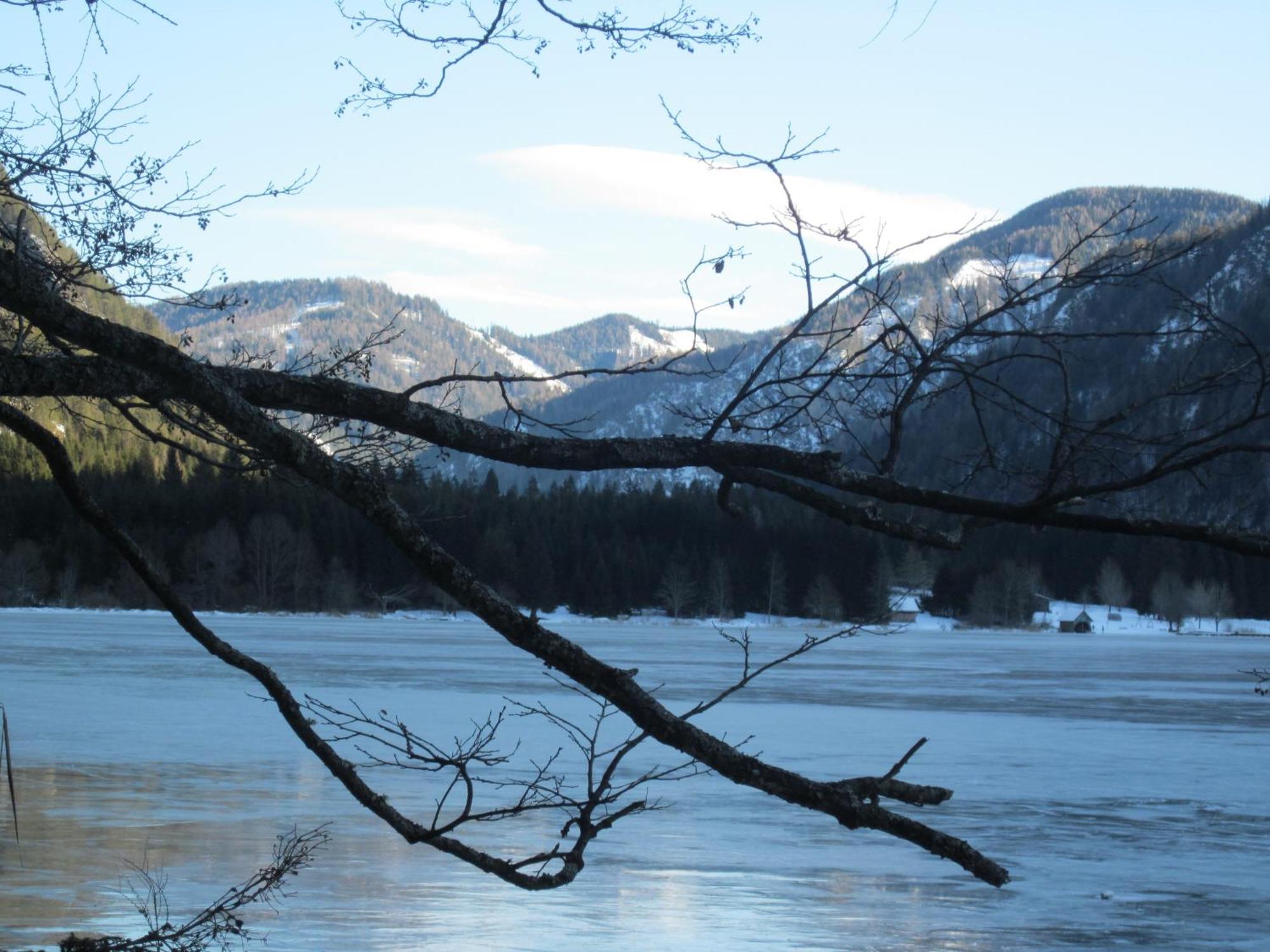 Ferienwohnung Moser Am See Millstatt Exterior foto